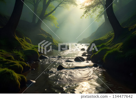 forest in fog 134477642
