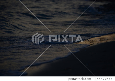 在早晨的陽光下閃閃發光的海灘 134477657