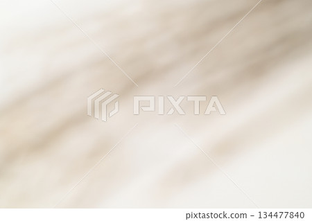 Bokeh effect created by Japanese paper and Japanese pampas grass [Background material] 134477840