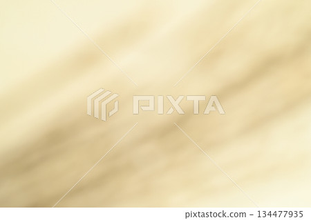 Bokeh effect created by Japanese paper and Japanese pampas grass [Background material] 134477935