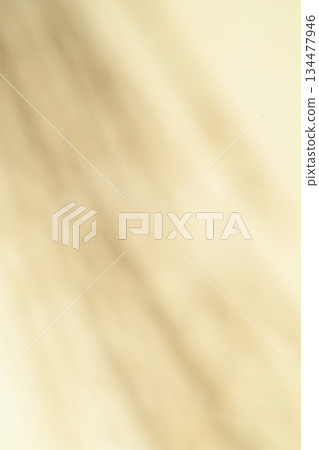 Bokeh effect created by Japanese paper and Japanese pampas grass [Background material] 134477946