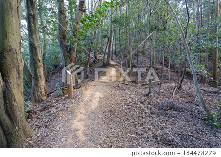 Scenery of the Kyoto Loop Trail and its surroundings Scenery of the Kyoto Loop Trail and its surroundings 134478279