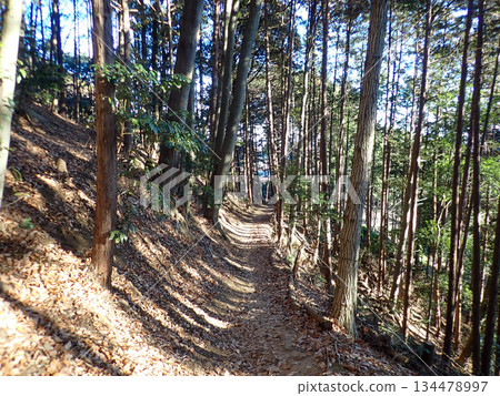 Ogose Hiking Course and Ogose's 10 Famous Mountains 134478997