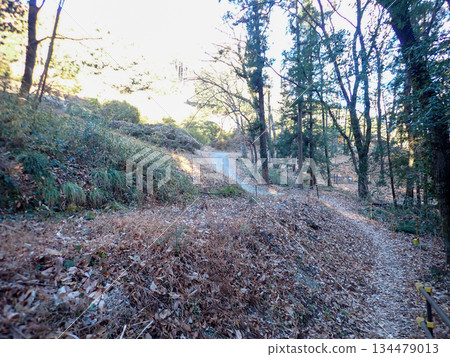 Ogose Hiking Course and Ogose's 10 Famous Mountains 134479013