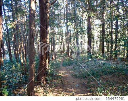 Ogose Hiking Course and Ogose's 10 Famous Mountains Ogose Hiking Course and Ogose's 10 Famous Mountains 134479061