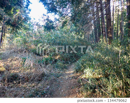 奧戈塞健行路線和奧戈塞十大名山 奧戈塞健行路線和奧戈塞十大名山 134479062