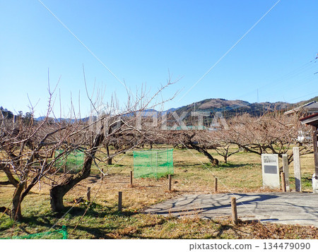 Ogose Hiking Course and Ogose's 10 Famous Mountains 134479090