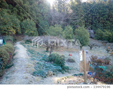 Ogose Hiking Course and Ogose's 10 Famous Mountains 134479196