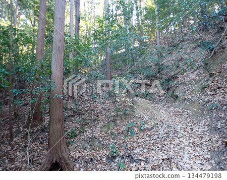 Ogose Hiking Course and Ogose's 10 Famous Mountains Ogose Hiking Course and Ogose's 10 Famous Mountains 134479198