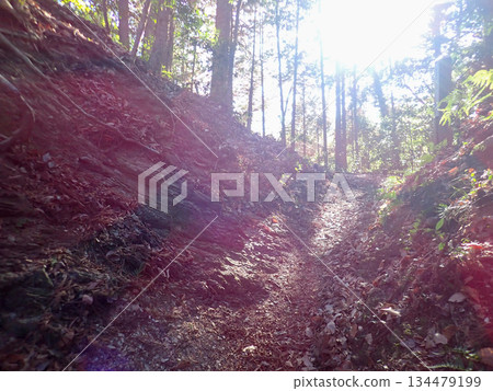 Ogose Hiking Course and Ogose's 10 Famous Mountains Ogose Hiking Course and Ogose's 10 Famous Mountains 134479199