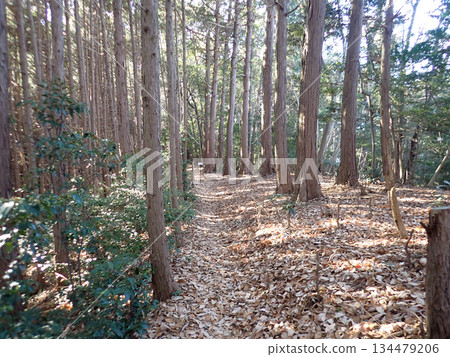 Ogose Hiking Course and Ogose's 10 Famous Mountains 134479206