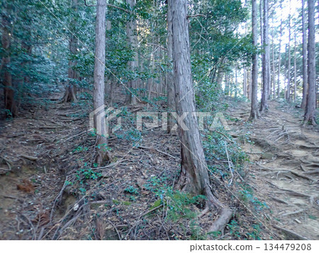 Ogose Hiking Course and Ogose's 10 Famous Mountains Ogose Hiking Course and Ogose's 10 Famous Mountains 134479208
