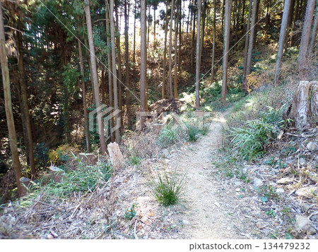 Ogose Hiking Course and Ogose's 10 Famous Mountains 134479232