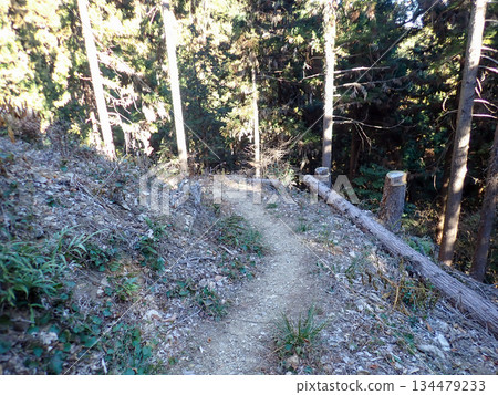 Ogose Hiking Course and Ogose's 10 Famous Mountains 134479233