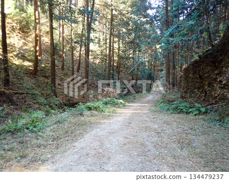 奧戈塞健行路線和奧戈塞十大名山 134479237