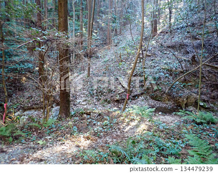 Ogose Hiking Course and Ogose's 10 Famous Mountains 134479239