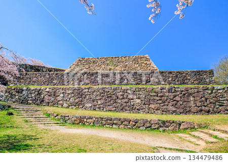 鳥取縣 米子城遺址與櫻花,主塔石牆,四月 鳥取縣 米子城遺址與櫻花,主塔石牆,四月 134479486