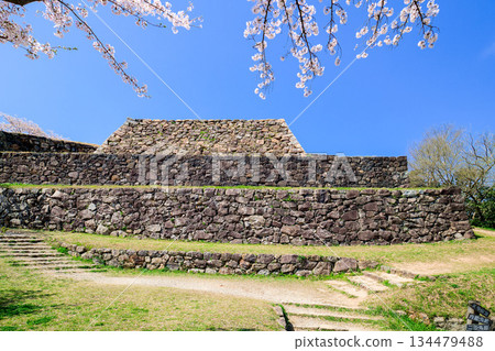 鳥取縣 米子城遺址與櫻花,主塔石牆,四月 鳥取縣 米子城遺址與櫻花,主塔石牆,四月 134479488