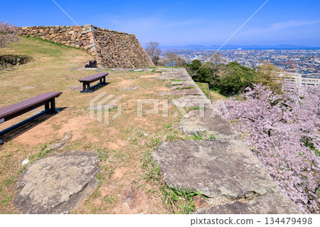 鳥取縣米子城春景:從小天守閣眺望主天守閣,四月 鳥取縣米子城春景:從小天守閣眺望主天守閣,四月 134479498