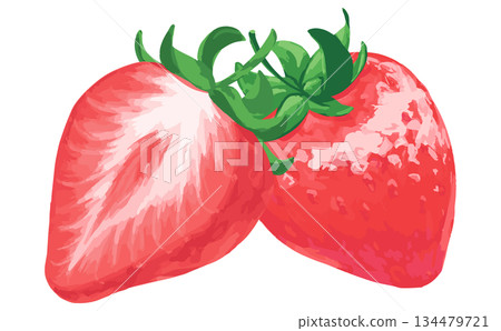 Hand-drawn strawberry illustrations_cross section and whole 134479721