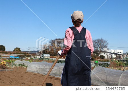 Senior woman working in the fields (back view) 134479765