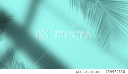 Abstract Backgrund summer Blue Palm Overlay Summer Sun Shadow Leaf White Gradient Color Blur Room Cement Floor Wall Backdrop Mockup Product Beauty Cosmetic Presentation Minimal Empty Card  Tropical. 134479838