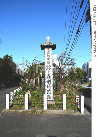 Suzugamori的廢墟 Suzugamori的廢墟 134479853