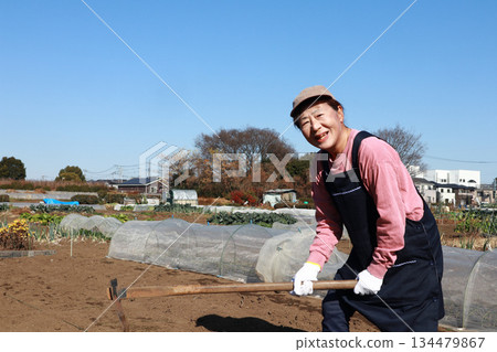 Senior woman working in the fields Senior woman working in the fields 134479867