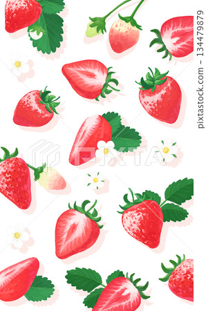 Hand-drawn strawberry botanical illustration vertical background Hand-drawn strawberry botanical illustration vertical background 134479879