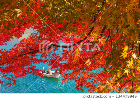 【福島縣貔岱市】十月至十一月,五色沼湖(毘沙門湖)的秋葉 【福島縣貔岱市】十月至十一月,五色沼湖(毘沙門湖)的秋葉 134479949