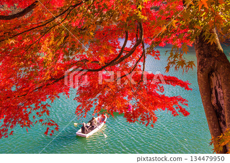 【福島縣貔岱市】十月至十一月,五色沼湖(毘沙門湖)的秋葉 【福島縣貔岱市】十月至十一月,五色沼湖(毘沙門湖)的秋葉 134479950