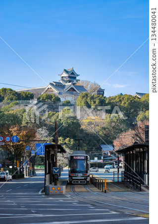 View of Kumamoto Castle from downtown Kumamoto 134480041