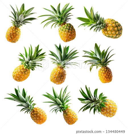 Set of pineapple with bright yellow flesh and green spiky leaves, isolated on white transparent background Set of pineapple with bright yellow flesh and green spiky leaves, isolated on white transparent background 134480449