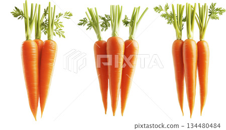 Fresh carrots with green tops isolated on a white transparent background. Fresh carrots with green tops isolated on a white transparent background. 134480484