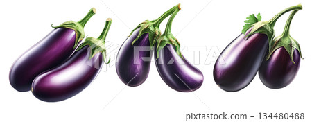 Fresh eggplants with leaves, isolated on white transparent background, concept of healthy eating Fresh eggplants with leaves, isolated on white transparent background, concept of healthy eating 134480488