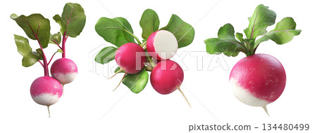 Fresh radish with green leaves, isolated on white transparent background. Fresh radish with green leaves, isolated on white transparent background. 134480499