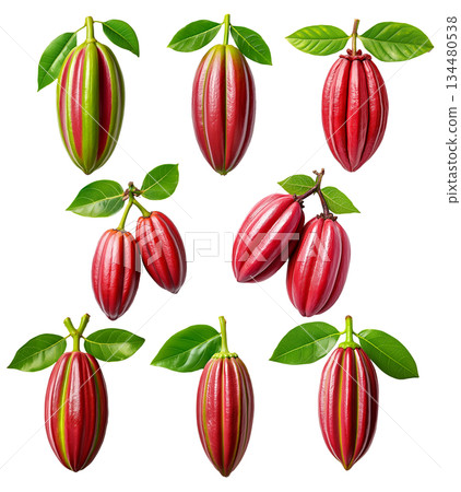 Set of red cocoa pod or Cupuacu with green leaves, isolated on white transparent background Set of red cocoa pod or Cupuacu with green leaves, isolated on white transparent background 134480538
