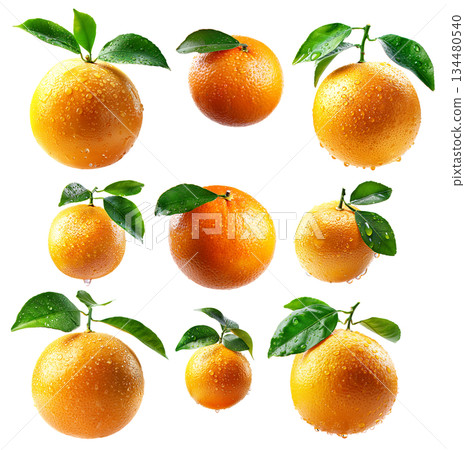 A fresh and juicy orange or grapefruit with leaves and water droplets against a white background A fresh and juicy orange or grapefruit with leaves and water droplets against a white background 134480540