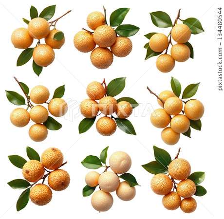 Set of yellow loquat fruits with green leaves on branch, isolated on white background. Concept of organic tropical fruit 134480544