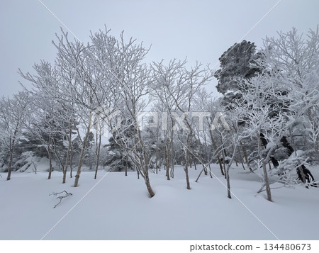 自然藝術：宮雪 134480673