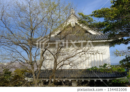 Castle walls of Shoryuji Castle Park Castle walls of Shoryuji Castle Park 134481006