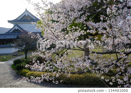 Castle walls of Shoryuji Castle Park Castle walls of Shoryuji Castle Park 134481008