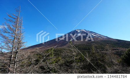 Mount Fuji The summit of Mount Fuji from the inner garden Mount Fuji The summit of Mount Fuji from the inner garden 134481784
