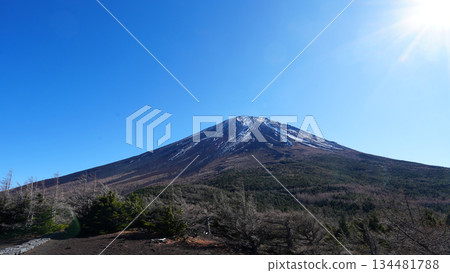 富士山 從內園眺望富士山頂峰 134481788