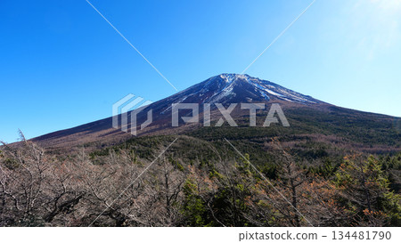 富士山 從內園眺望富士山頂峰 134481790