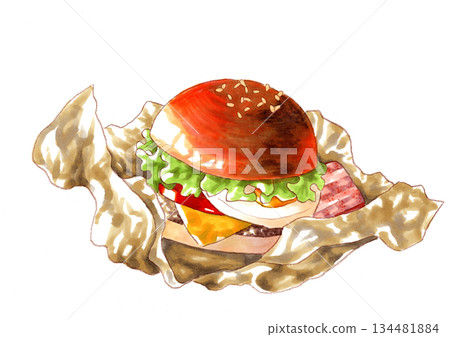 漢堡包的插圖 134481884