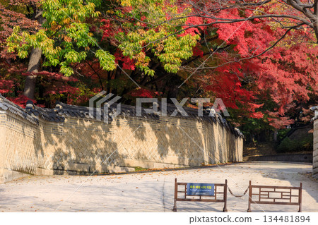 Autumn scenery at the Korean palace 134481894