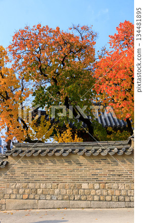 Autumn scenery at the Korean palace Autumn scenery at the Korean palace 134481895