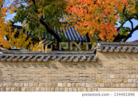 Autumn scenery at the Korean palace 134481896