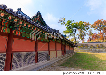 Autumn scenery at the Korean palace 134481910
